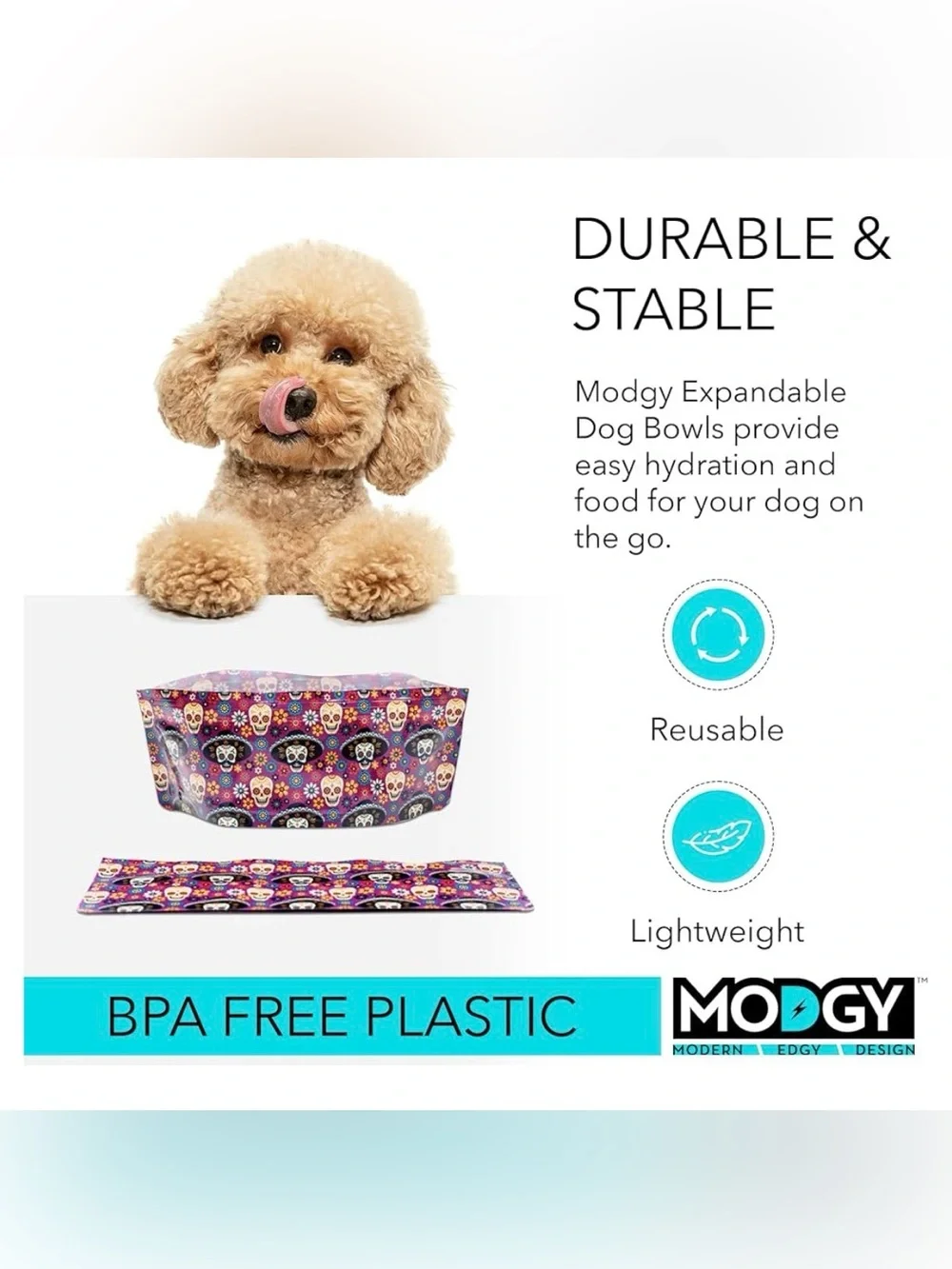 2-Pack Modgy Expandable Dog Bowls Set - Mexican Sugar Skulls Design - NWT